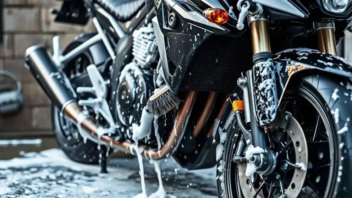 Cuidados com a limpeza e conservação Cuidados com a limpeza e conservação